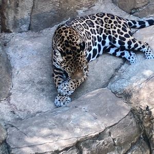 Meet your Posher, Tadarrius